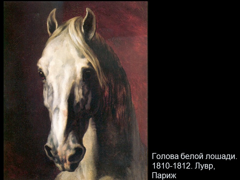 Голова белой лошади. 1810-1812. Лувр, Париж